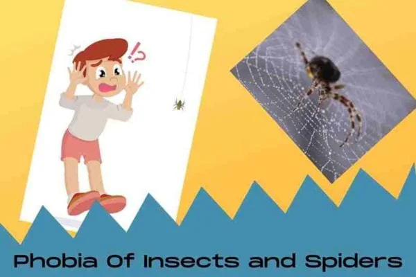 Common Phobia: Phobia of Insects like Spiders