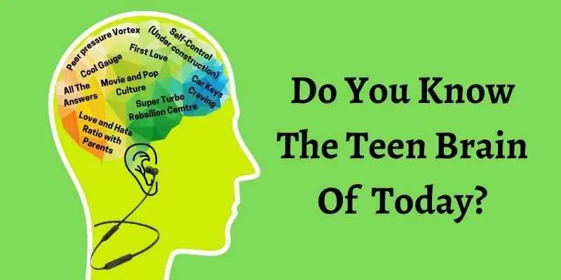 Do You Know The Teen Brain Of Today - Insightful Counselling