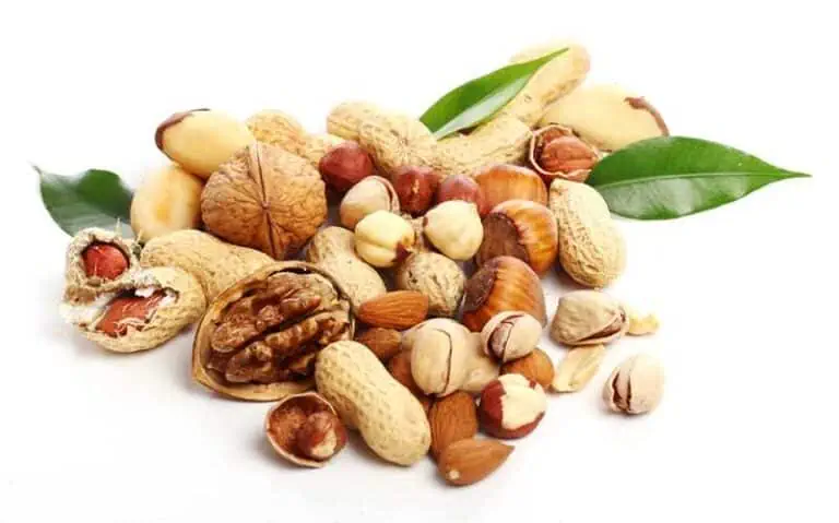 The Best Foods For Brain - Nuts and Seeds