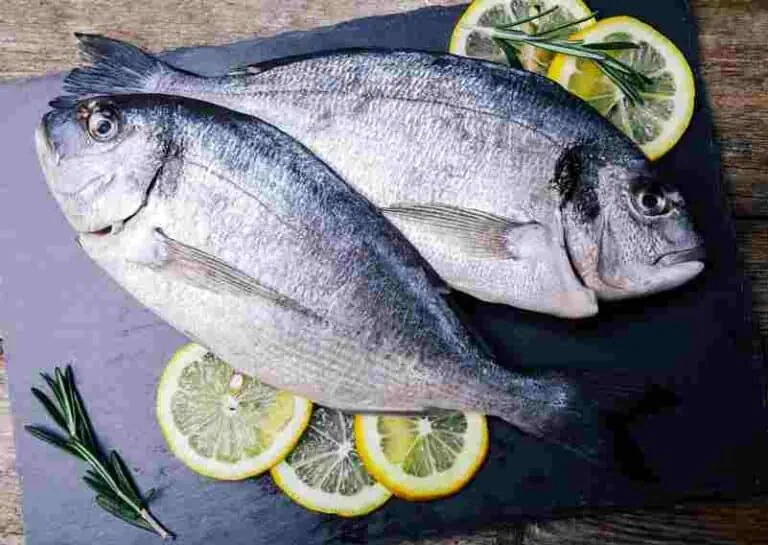 The Best Foods For Brain - Oily Fish